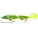 9" REEF DIGGER-SHALLOW LIVE ACTION TAIL